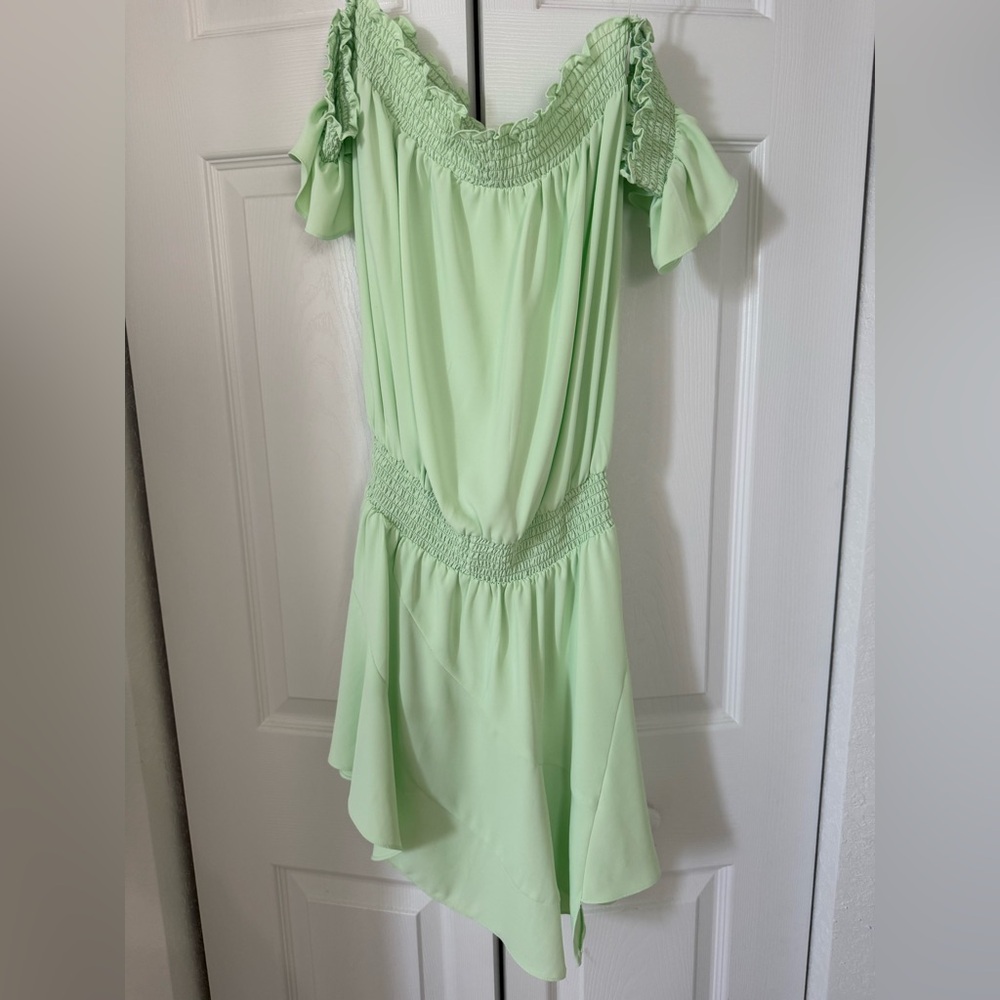 Amanda Uprichard Light Green Strapless Dress - Picture 3 of 5
